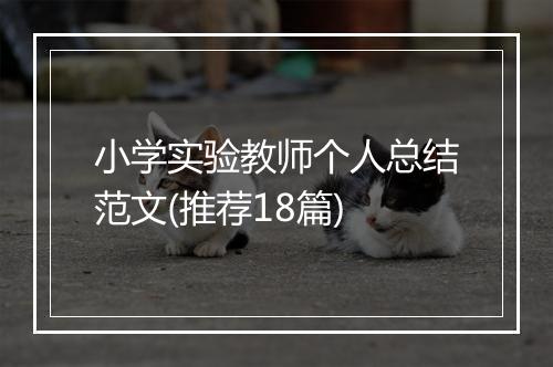 小学实验教师个人总结范文(推荐18篇)