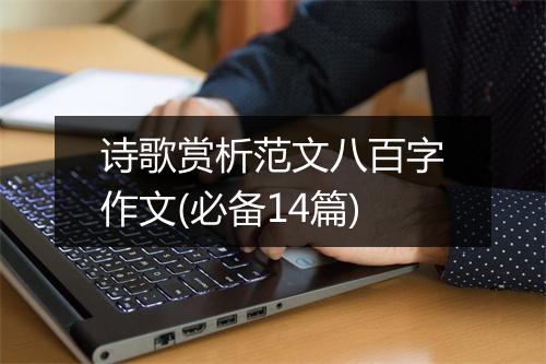 诗歌赏析范文八百字作文(必备14篇)