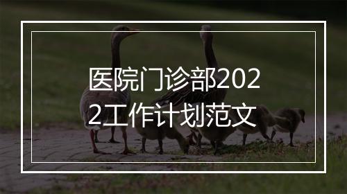 医院门诊部2022工作计划范文