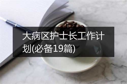 大病区护士长工作计划(必备19篇)