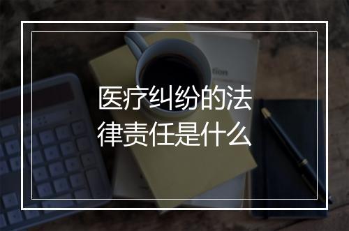 医疗纠纷的法律责任是什么