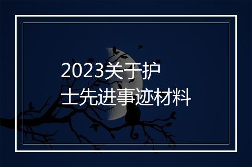 2023关于护士先进事迹材料