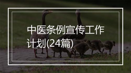 中医条例宣传工作计划(24篇)