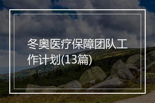冬奥医疗保障团队工作计划(13篇)