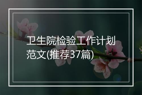 卫生院检验工作计划范文(推荐37篇)