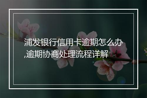 浦发银行信用卡逾期怎么办,逾期协商处理流程详解