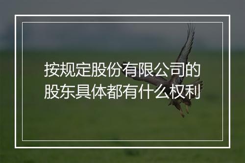 按规定股份有限公司的股东具体都有什么权利