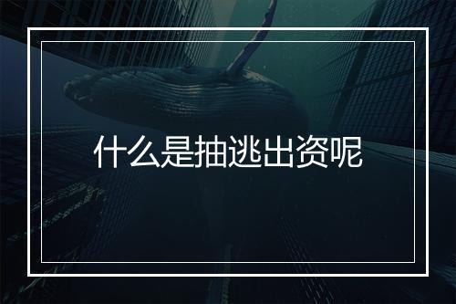 什么是抽逃出资呢