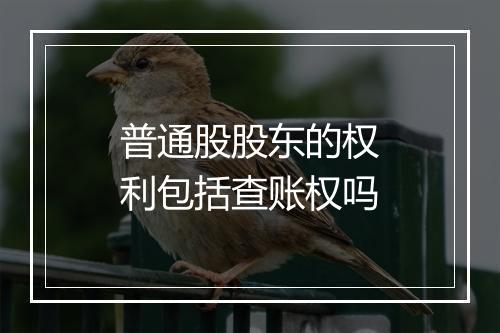 普通股股东的权利包括查账权吗