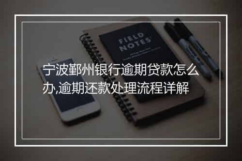 宁波鄞州银行逾期贷款怎么办,逾期还款处理流程详解