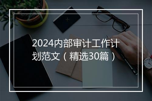2024内部审计工作计划范文（精选30篇）