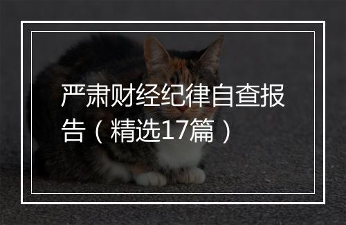 严肃财经纪律自查报告（精选17篇）