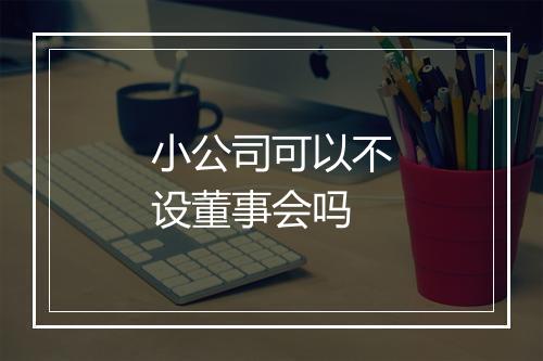 小公司可以不设董事会吗