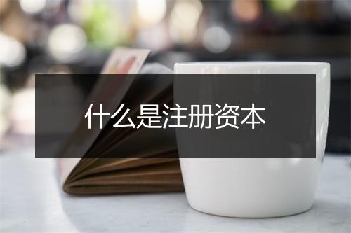 什么是注册资本