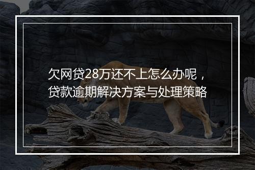 欠网贷28万还不上怎么办呢，贷款逾期解决方案与处理策略
