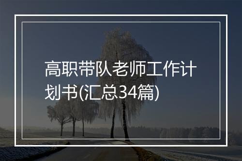 高职带队老师工作计划书(汇总34篇)