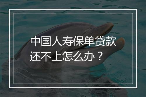 中国人寿保单贷款还不上怎么办？