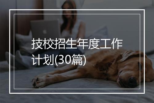 技校招生年度工作计划(30篇)