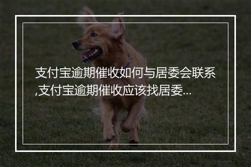 支付宝逾期催收如何与居委会联系,支付宝逾期催收应该找居委会催收吗