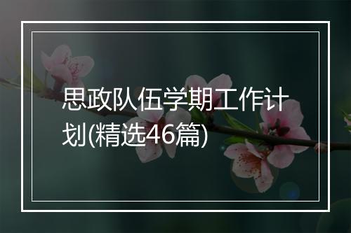 思政队伍学期工作计划(精选46篇)