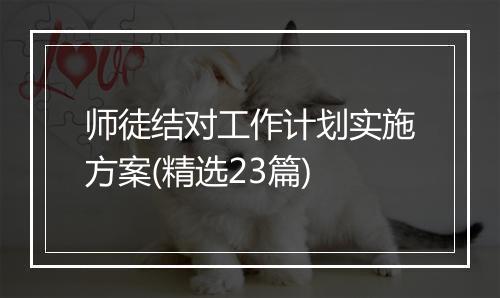 师徒结对工作计划实施方案(精选23篇)