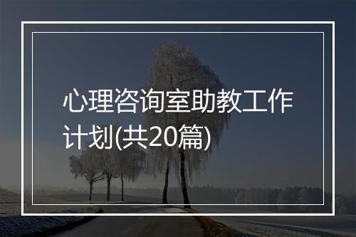 心理咨询室助教工作计划(共20篇)