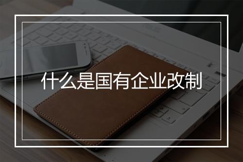 什么是国有企业改制
