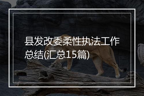 县发改委柔性执法工作总结(汇总15篇)