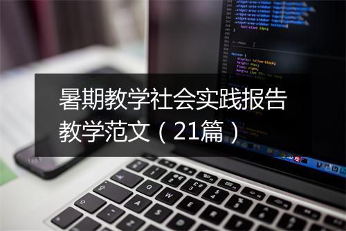 暑期教学社会实践报告教学范文（21篇）