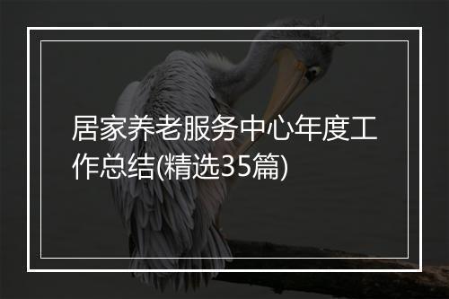 居家养老服务中心年度工作总结(精选35篇)