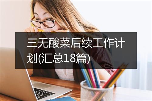 三无酸菜后续工作计划(汇总18篇)
