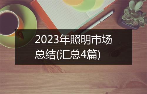 2023年照明市场总结(汇总4篇)
