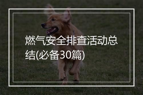 燃气安全排查活动总结(必备30篇)