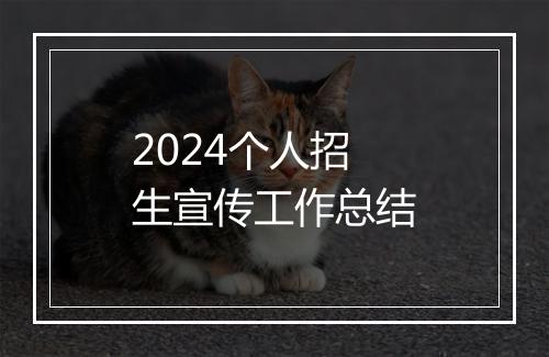 2024个人招生宣传工作总结