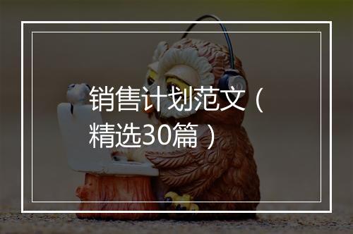 销售计划范文（精选30篇）