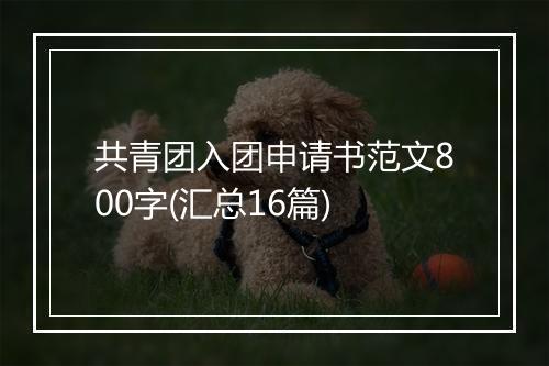 共青团入团申请书范文800字(汇总16篇)