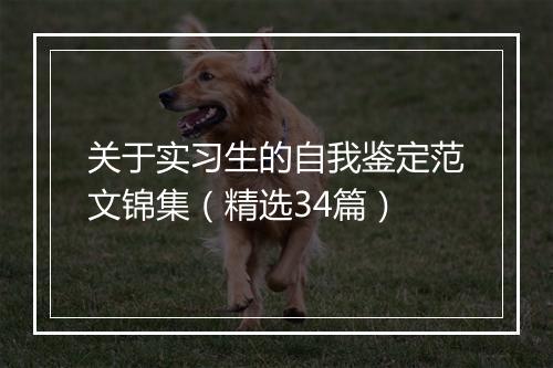关于实习生的自我鉴定范文锦集（精选34篇）
