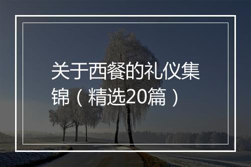 关于西餐的礼仪集锦（精选20篇）