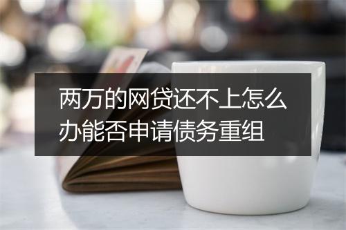 两万的网贷还不上怎么办能否申请债务重组