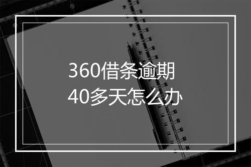 360借条逾期40多天怎么办