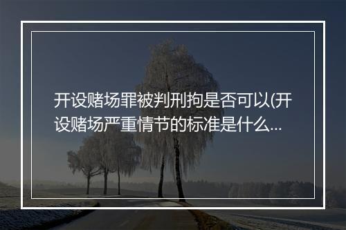 开设赌场罪被判刑拘是否可以(开设赌场严重情节的标准是什么)