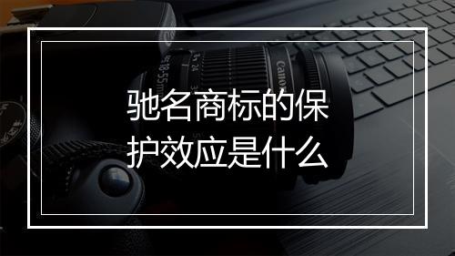 驰名商标的保护效应是什么
