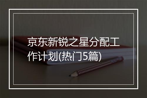 京东新锐之星分配工作计划(热门5篇)