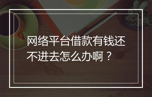 网络平台借款有钱还不进去怎么办啊？