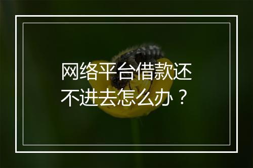 网络平台借款还不进去怎么办？