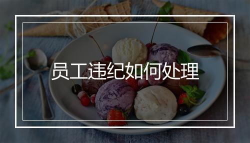 员工违纪如何处理