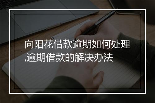 向阳花借款逾期如何处理,逾期借款的解决办法