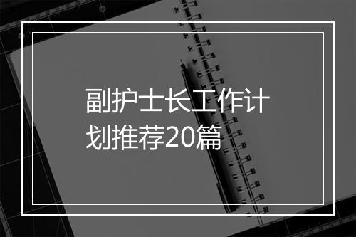 副护士长工作计划推荐20篇