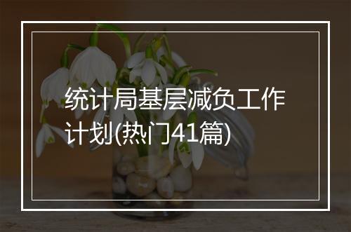 统计局基层减负工作计划(热门41篇)