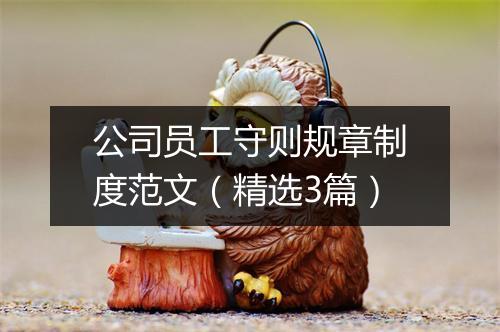 公司员工守则规章制度范文（精选3篇）